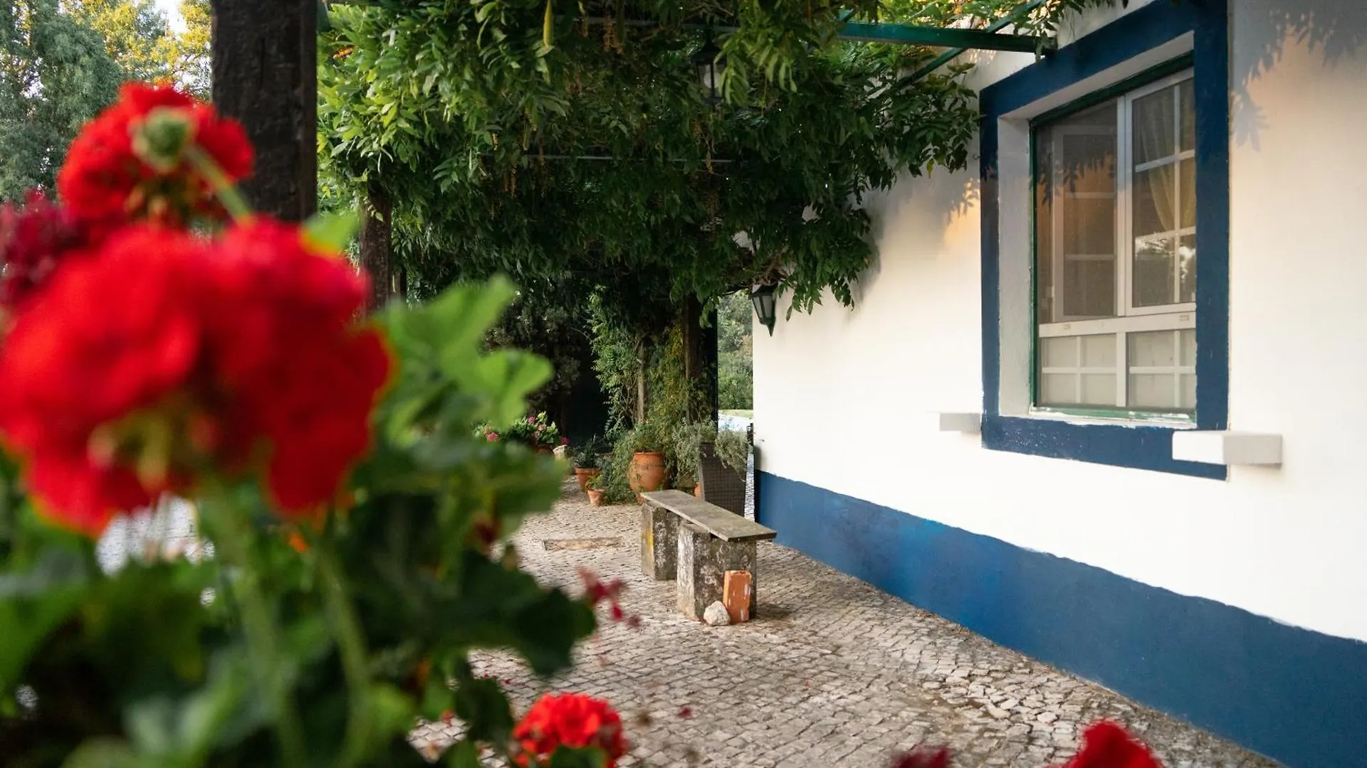 Quinta Do Archino Villa Alenquer