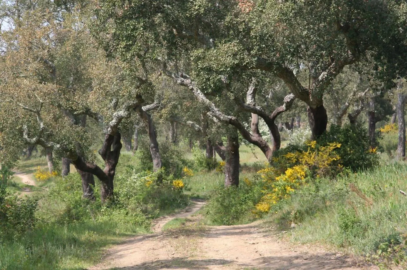 Farm stay Quinta Do Archino Villa Alenquer